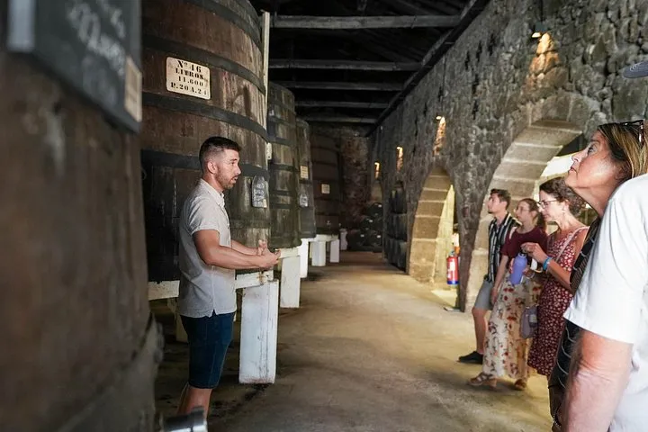 Small group tasting port in a cellar on a port wine cellars tour in Porto, Portugal
