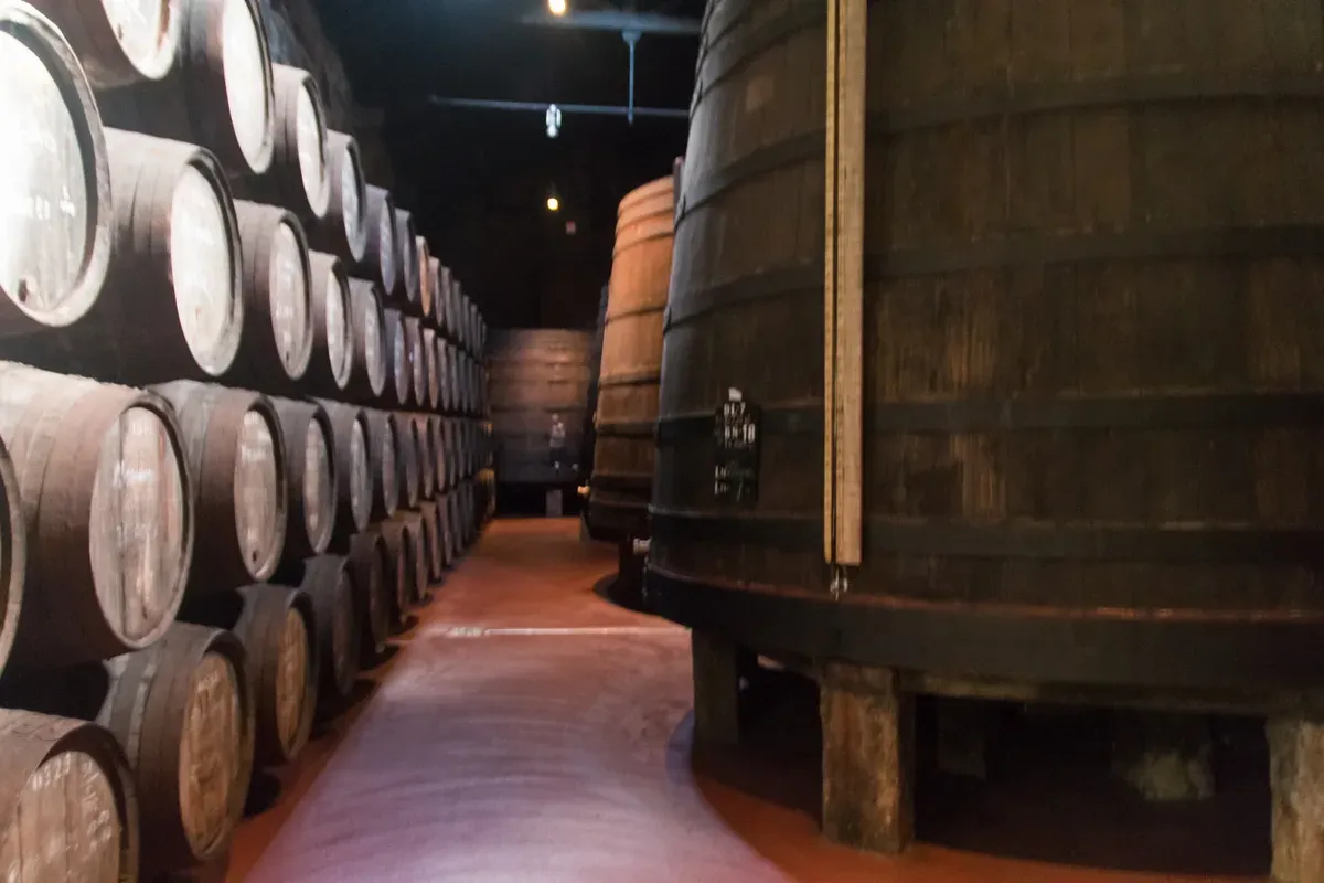 Oak casks in a Gaia port wine cellar seen on a port wine lodges walking tour in Porto