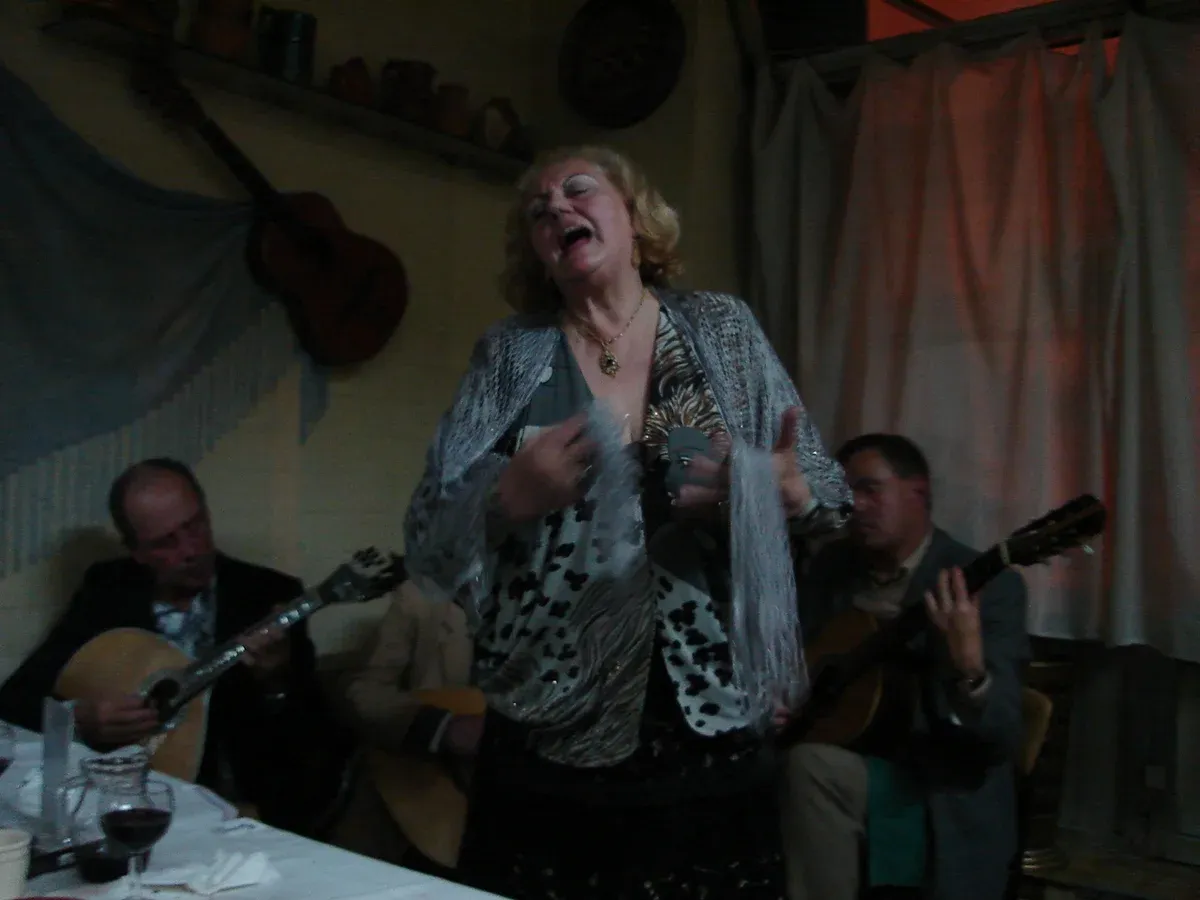 Live fado performance in Porto, paired with the port cellar visit on a Fonseca cellar tour with fado