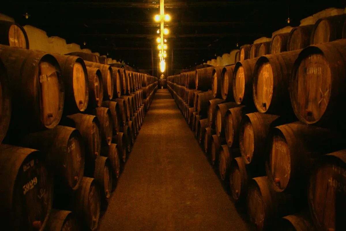 Cask-lined hall in the Taylor's port wine cellars in Vila Nova de Gaia, Porto